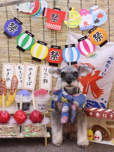 20240724むぎちゃん